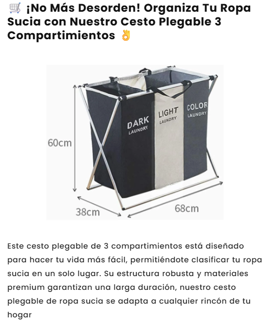 CESTA ORGANIZADORA