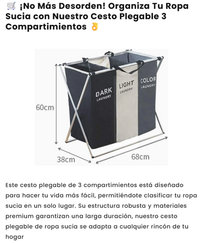 CESTA ORGANIZADORA